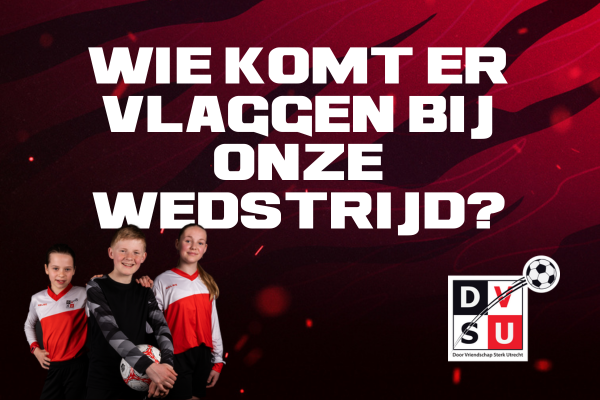 Met welke taak wil jij DVSU ondersteunen?